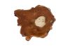 Teak Wood Accent