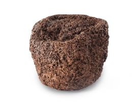 Sponge Wood Accent