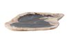 Petrified Wood Plate Assorted Color and Shape Small
