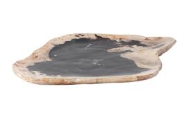 Petrified Wood Plate Assorted Color and Shape Small