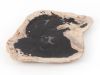 Petrified Wood Plate Assorted Color and Shape Small