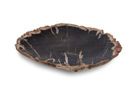 Petrified Wood Plate Assorted Color and Shape