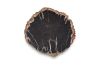 Petrified Wood Plate Assorted Color and Shape
