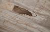 Petrified Wood Dining Table