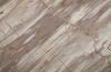 Petrified Wood Dining Table