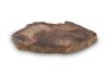 Petrified Wood Coaster