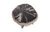 Petrified Wood Side Table