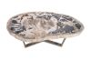 Petrified Wood Coffee Table Round