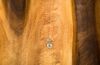 Carved Wall Wood Tray