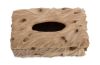 Erosion Tissue Box