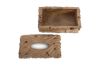 Erosion Tissue Box