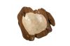 Teak Root Bowl Shell Inlay Assorted Style and Size