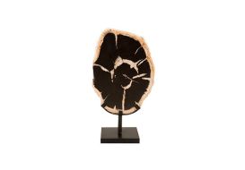 Petrified Wood Sculpture on Stand