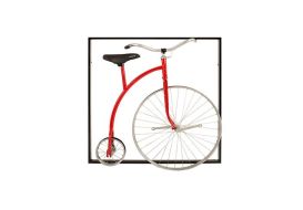Framed Acrobatik Bicycle
