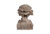 Carved Bonsai Gray Stone Natural