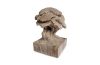 Carved Bonsai Gray Stone Natural