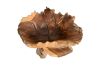 Meja Wood Sculpture