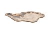 Petrified Wood Plate Assorted Size Style Color