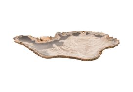 Petrified Wood Plate Assorted Size Style Color