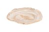Petrified Wood Plate