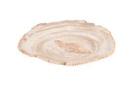 Petrified Wood Plate