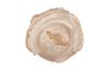 Petrified Wood Plate