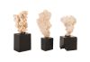 Quartz Stone Sculpture Natural Element Assorted Size Shape and Color