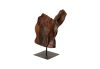 Sonokeling Wood Sculpture Iron Base