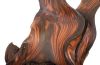 Sonokeling Wood Sculpture Iron Base