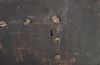 Mercury Wall Art Small