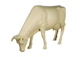 Life Size Cow Grazing Off White