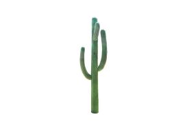 Saguar Cactus Statue
