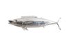 Wahoo Fish Silver Leaf