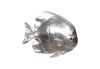 Austrialian Batfish Silver Leaf