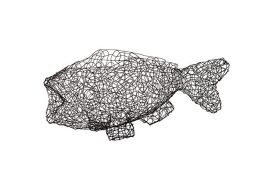 Crazy Wire Fish Bowl