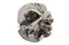 Round Root Wall Art Silver Leaf