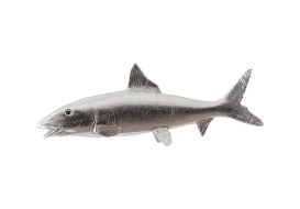 Bonefish Silver Leaf