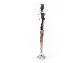 Zoro Mannequin Stainless Steel