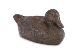 Mallard Duck