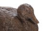 Mallard Duck