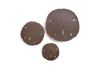 Sand Dollars Bronze Set of 3