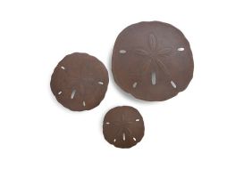 Sand Dollars Bronze Set of 3