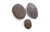 Sand Dollars Bronze Set of 3