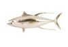 Yellowfin Tuna Fish Table Top Silver Leaf