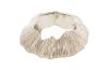 Fungia Mirror Silver