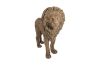 Lion Bronze