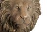 Lion Bronze