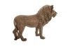 Lion Bronze