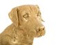 Labrador Dog Gold Leaf