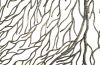 Coral Wall Art Rectangle Gray and Silver